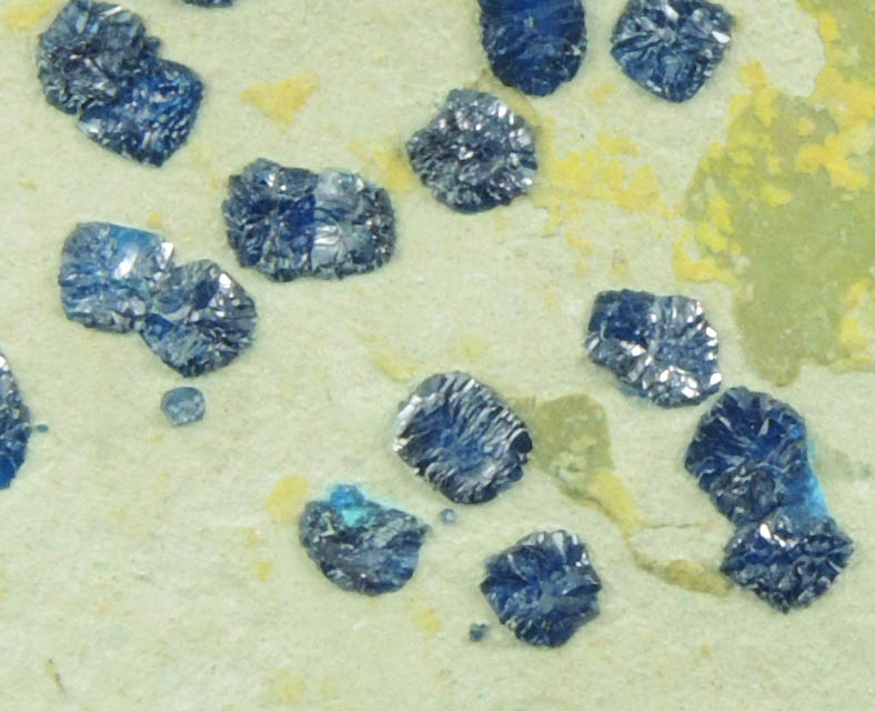 Cornetite from L'Etoile du Congo Mine, Lubumbashi, Katanga Copperbelt, Haut-Katanga Province, Democratic Republic of the Congo (Type Locality for Cornetite)