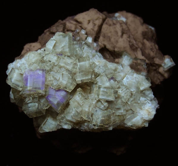 Fluorite from White Rock Quarry, Clay Center, Ottawa County, Ohio