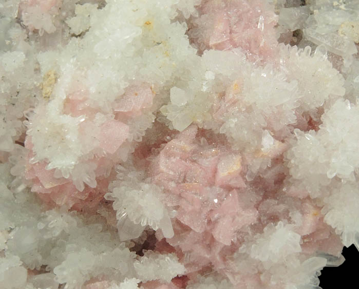 Rhodochrosite on Quartz from Camp Bird Mine, Ouray County, Colorado