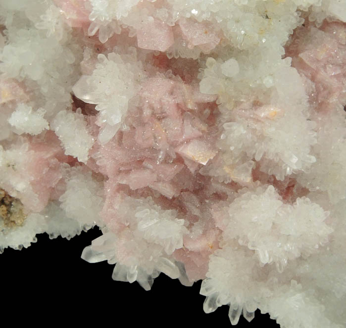 Rhodochrosite on Quartz from Camp Bird Mine, Ouray County, Colorado