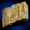 Asbestos var. Mountain Wood from Serpentine Highlands, Staten Island, New York City, Richmond County, New York