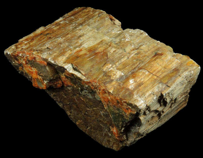 Asbestos var. Mountain Wood from Serpentine Highlands, Staten Island, New York City, Richmond County, New York