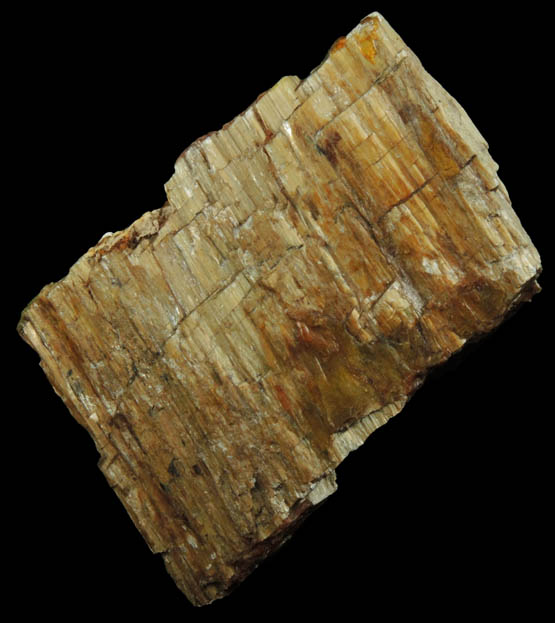 Asbestos var. Mountain Wood from Serpentine Highlands, Staten Island, New York City, Richmond County, New York