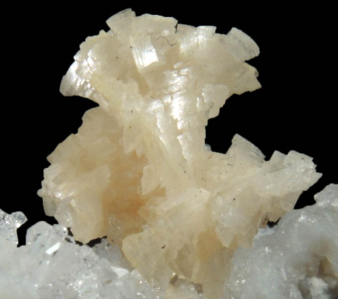 Dolomite on Quartz from Gray's Quarry, Hamilton, Illinois