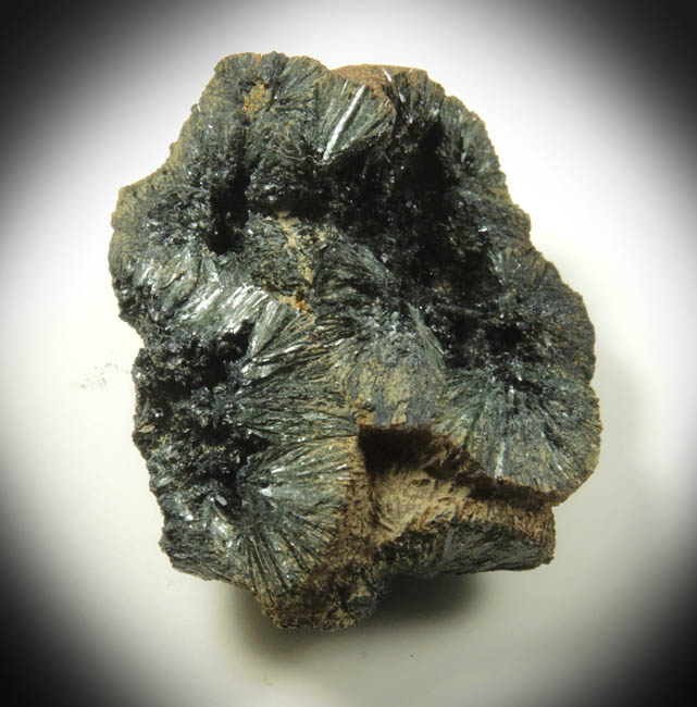 Vivianite from Raglan, Waikato District, North Island, New Zealand