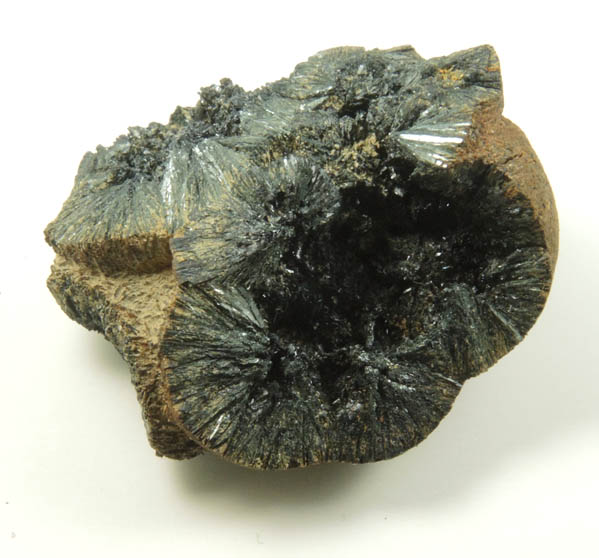 Vivianite from Raglan, Waikato District, North Island, New Zealand