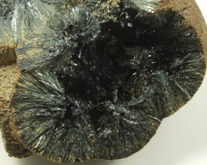 Vivianite from Raglan, Waikato District, North Island, New Zealand