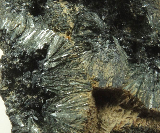 Vivianite from Raglan, Waikato District, North Island, New Zealand