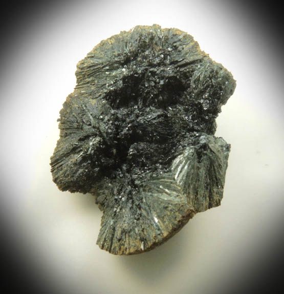 Vivianite from Raglan, Waikato District, North Island, New Zealand