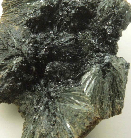 Vivianite from Raglan, Waikato District, North Island, New Zealand