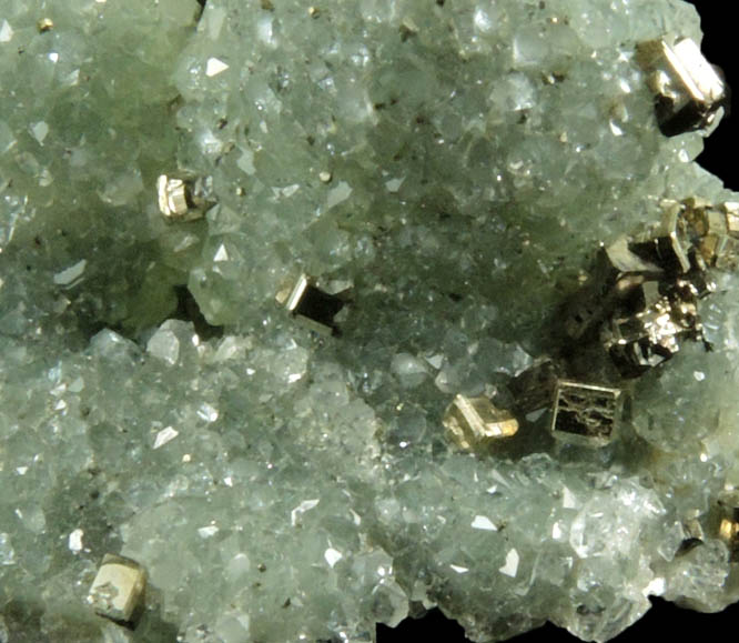 Pyrite and Apophyllite on Prehnite from Millington Quarry, Bernards Township, Somerset County, New Jersey