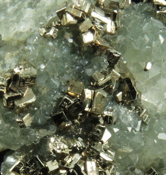 Pyrite and Apophyllite on Prehnite from Millington Quarry, Bernards Township, Somerset County, New Jersey