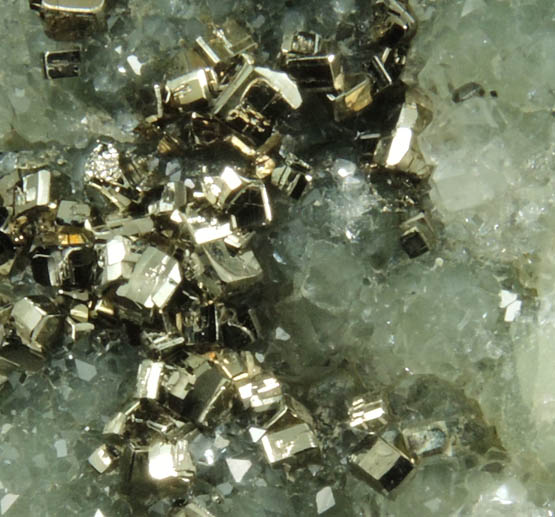 Pyrite and Apophyllite on Prehnite from Millington Quarry, Bernards Township, Somerset County, New Jersey