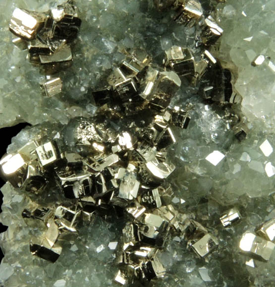 Pyrite and Apophyllite on Prehnite from Millington Quarry, Bernards Township, Somerset County, New Jersey