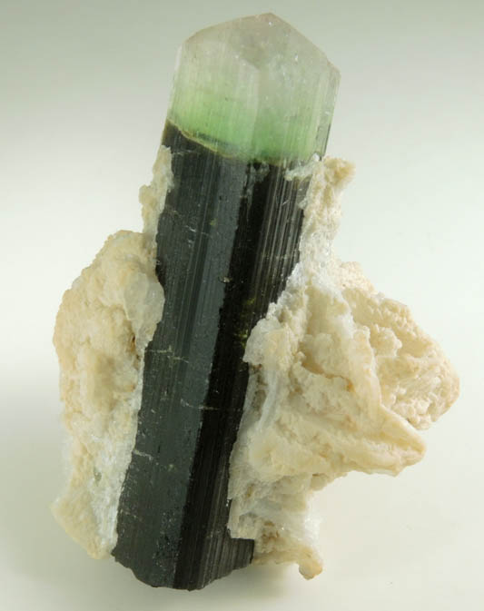 Elbaite Tourmaline with Albite var. Cleavelandite from Paprok, Kamdesh District, Nuristan Province, Afghanistan