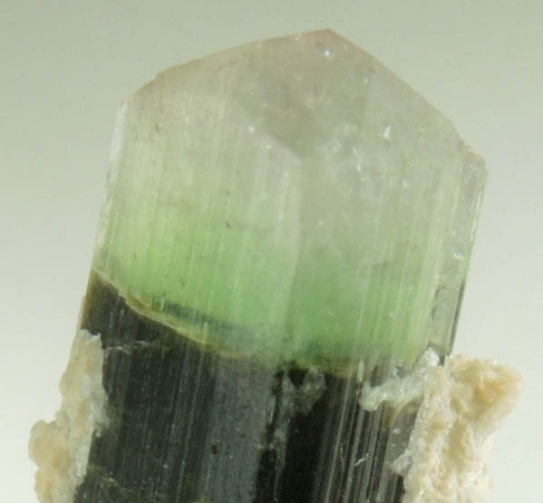 Elbaite Tourmaline with Albite var. Cleavelandite from Paprok, Kamdesh District, Nuristan Province, Afghanistan