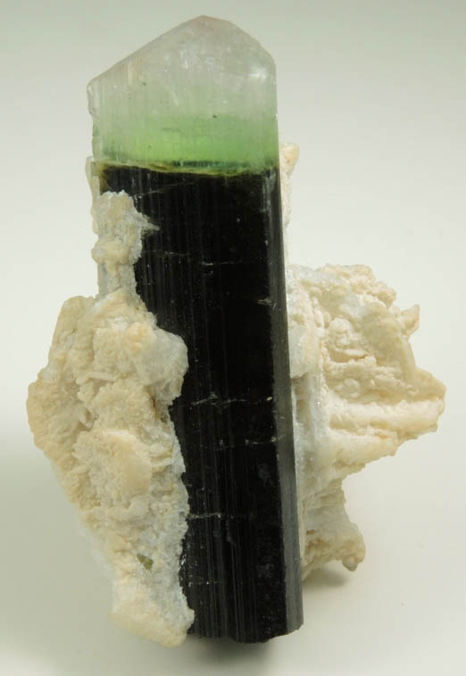 Elbaite Tourmaline with Albite var. Cleavelandite from Paprok, Kamdesh District, Nuristan Province, Afghanistan