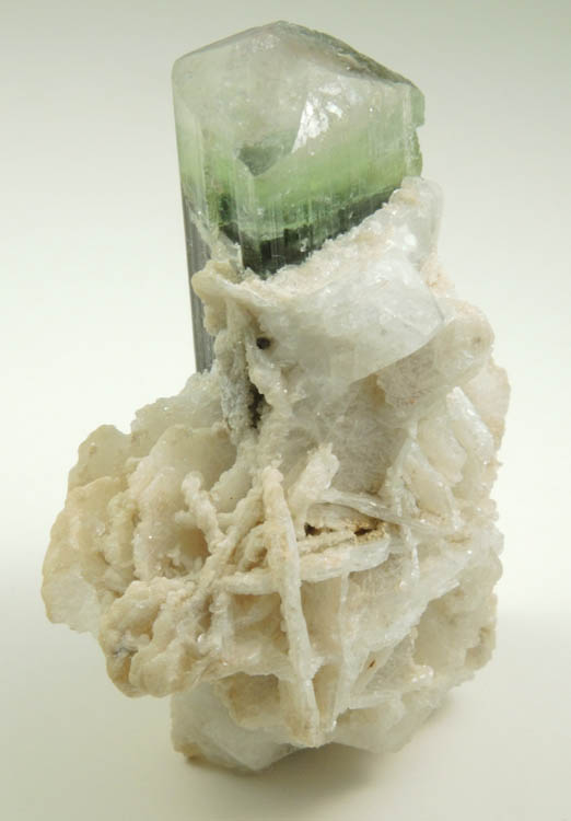 Elbaite Tourmaline with Albite var. Cleavelandite from Paprok, Kamdesh District, Nuristan Province, Afghanistan