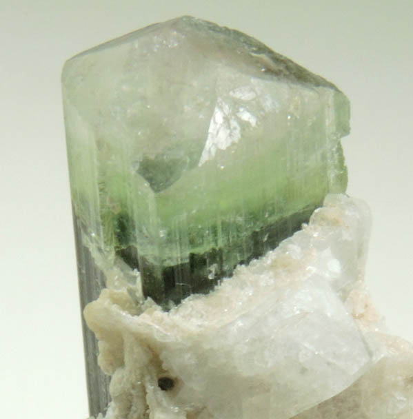 Elbaite Tourmaline with Albite var. Cleavelandite from Paprok, Kamdesh District, Nuristan Province, Afghanistan