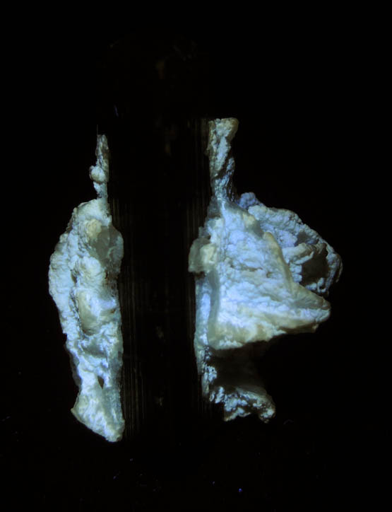 Photo below under longwave ultraviolet illumination of Elbaite Tourmaline with Albite var. Cleavelandite from Paprok, Kamdesh District, Nuristan Province, Afghanistan Elbaite Tourmaline with Albite var. Cleavelandite from Paprok, Kamdesh District, Nuristan Province, Afghanistan