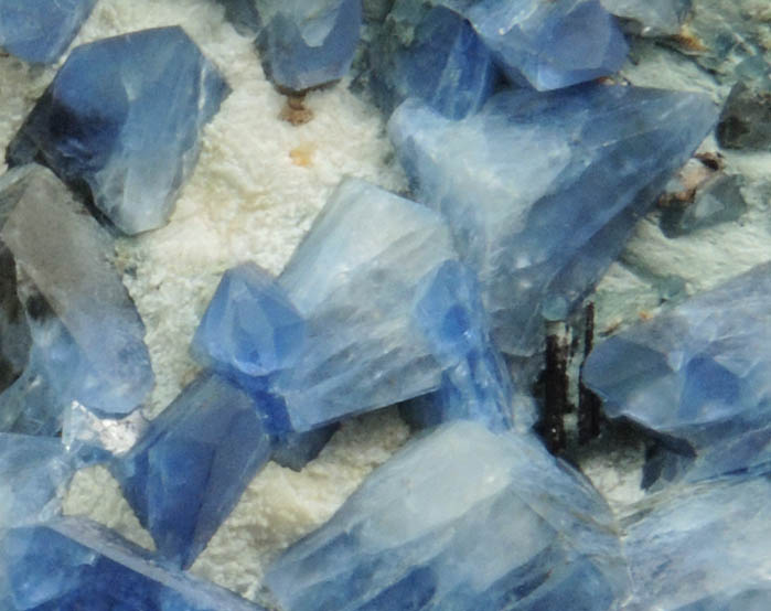 Benitoite with minor Neptunite from Benitoite Gem Mine, New Idria District, San Benito County, California (Type Locality for Benitoite)