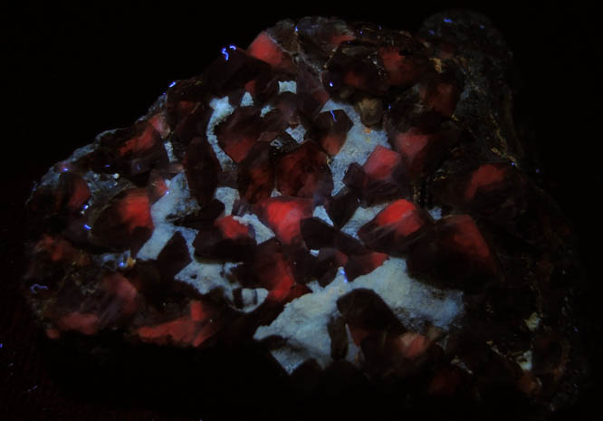 Benitoite with minor Neptunite from Benitoite Gem Mine, New Idria District, San Benito County, California (Type Locality for Benitoite)