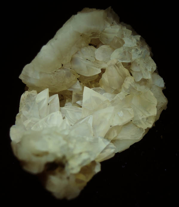 Photo below under longwave ultraviolet illumination of Calcite in fossilized clam from Ruck's Pit Quarry, Fort Drum, Okeechobee County, Florida Calcite in fossilized clam from Ruck's Pit Quarry, Fort Drum, Okeechobee County, Florida