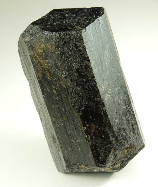 Dravite Tourmaline from Tourmaline Prospect 100 m. west of Biermann Quarry, Bethel, Fairfield County, Connecticut