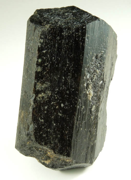 Dravite Tourmaline from Tourmaline Prospect 100 m. west of Biermann Quarry, Bethel, Fairfield County, Connecticut