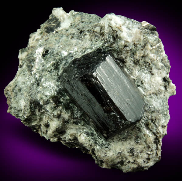 Dravite Tourmaline from Tourmaline Prospect 100 m. west of Biermann Quarry, Bethel, Fairfield County, Connecticut