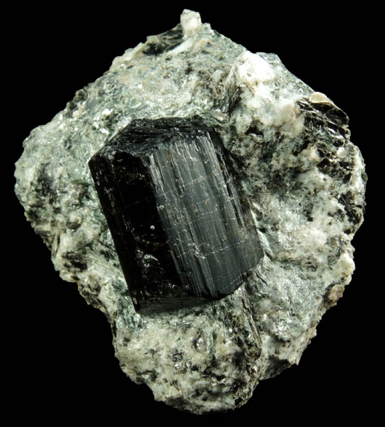 Dravite Tourmaline from Tourmaline Prospect 100 m. west of Biermann Quarry, Bethel, Fairfield County, Connecticut