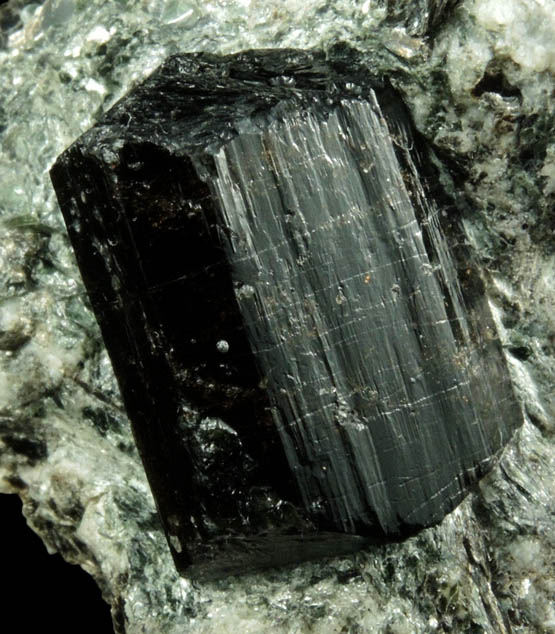 Dravite Tourmaline from Tourmaline Prospect 100 m. west of Biermann Quarry, Bethel, Fairfield County, Connecticut