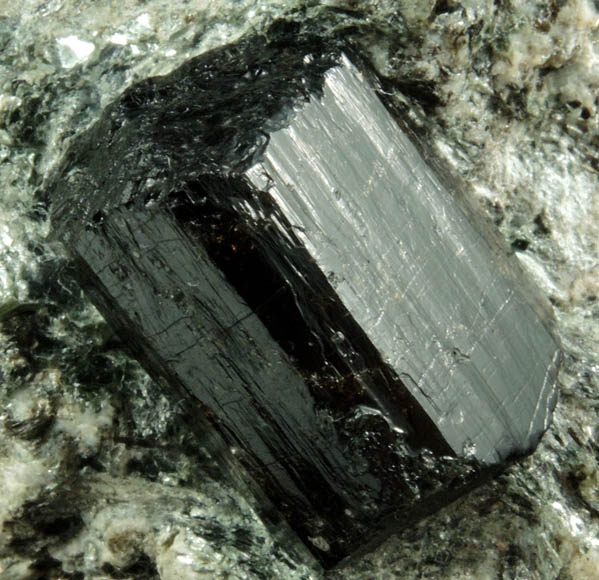 Dravite Tourmaline from Tourmaline Prospect 100 m. west of Biermann Quarry, Bethel, Fairfield County, Connecticut