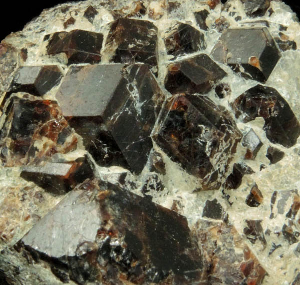 Andradite Garnet from Buckwheat Dump, Franklin Mine, Sussex County, New Jersey
