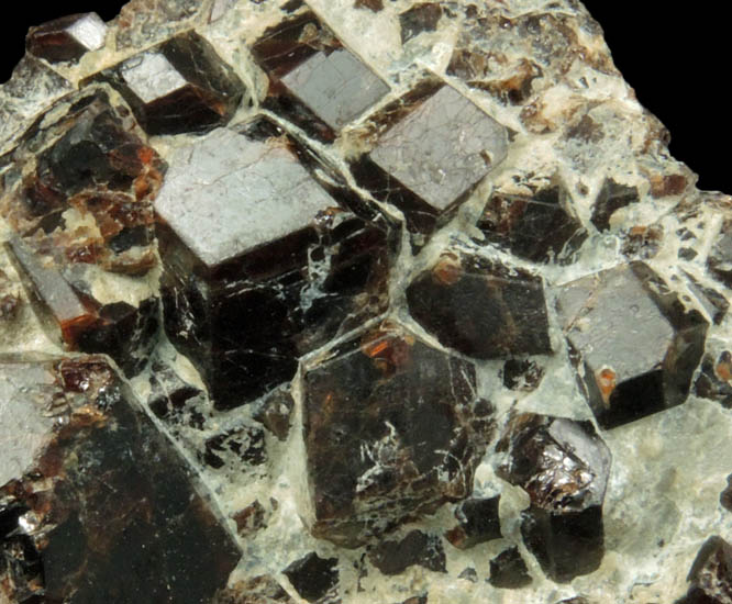 Andradite Garnet from Buckwheat Dump, Franklin Mine, Sussex County, New Jersey