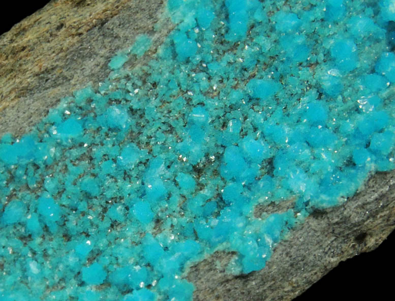 Turquoise crystals from Bishop Mine, Lynch Station, Campbell County, Virginia