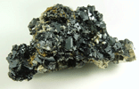 Sphalerite var. Marmatite with Pyrite from Camp Bird Mine, 285 E Stope, Ouray County, Colorado