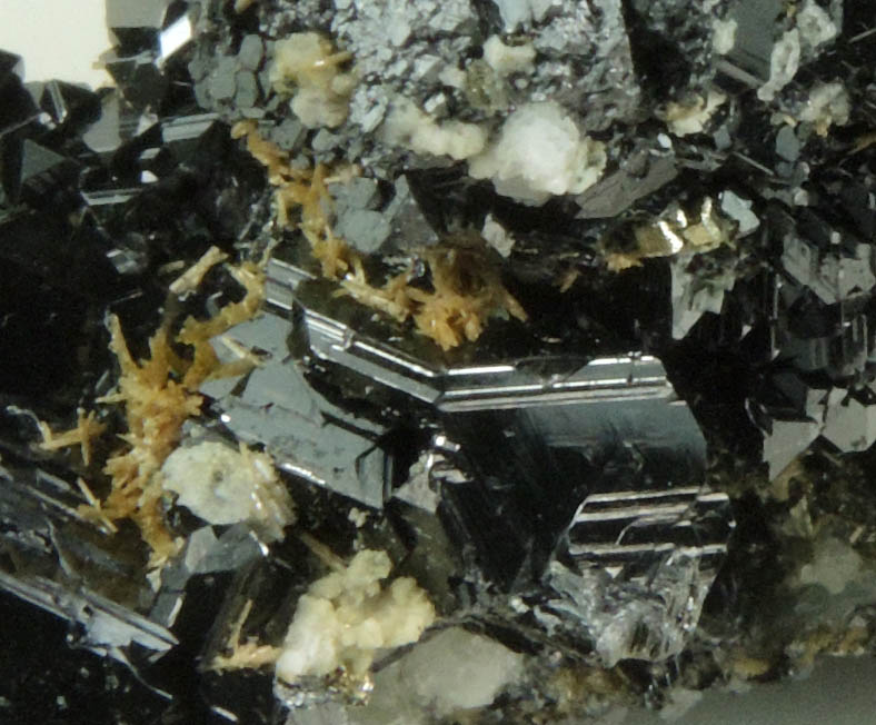 Sphalerite var. Marmatite with Pyrite from Camp Bird Mine, 285 E Stope, Ouray County, Colorado