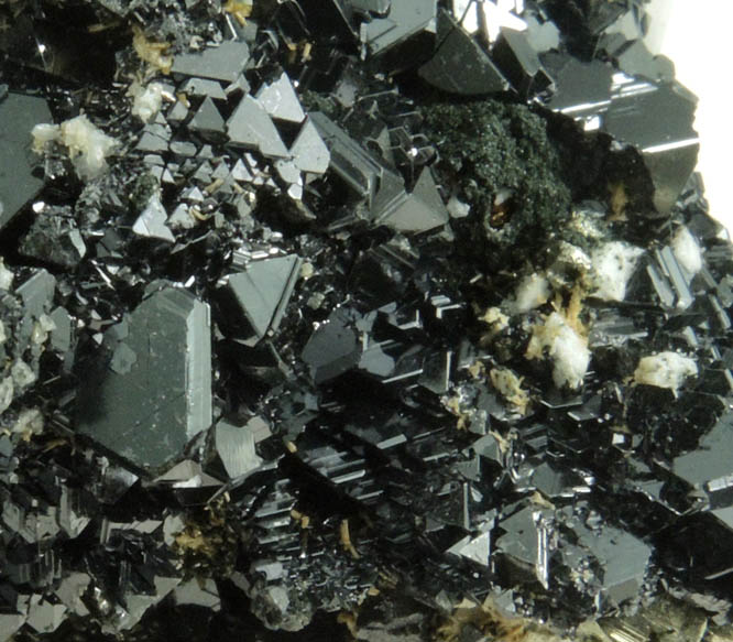 Sphalerite var. Marmatite with Pyrite from Camp Bird Mine, 285 E Stope, Ouray County, Colorado