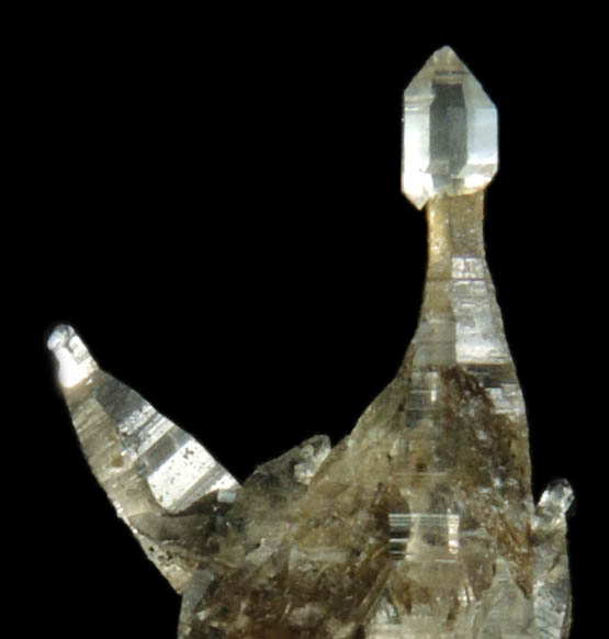 Quartz var. Tessin habit scepter from Becker Quarry, West Willington, Tolland County, Connecticut