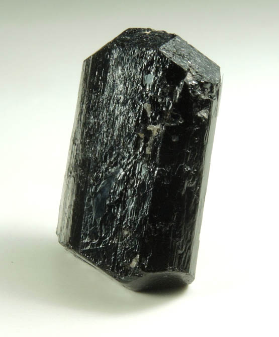 Schorl Tourmaline from Timm's Hill, Haddam, Middlesex County, Connecticut