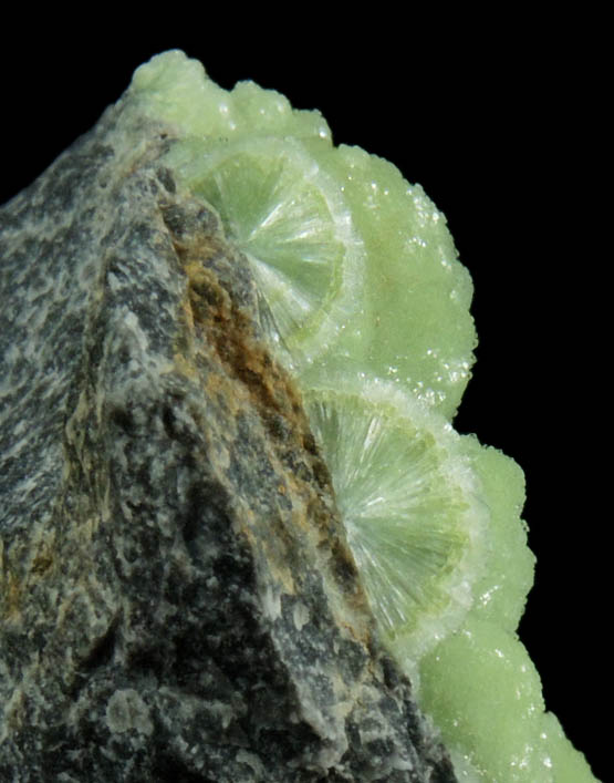 Wavellite from Mauldin Mountain, Montgomery County, Arkansas