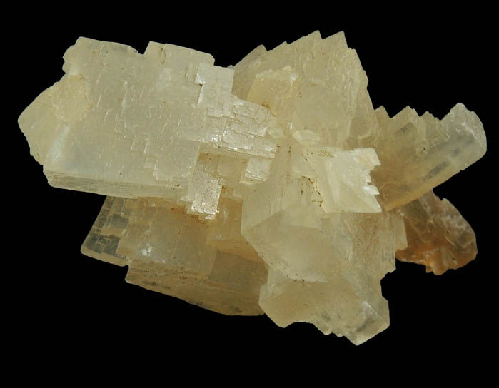 Calcite from Carlile Shale formation (Cretaceous), near La Junta, Otero County, Colorado