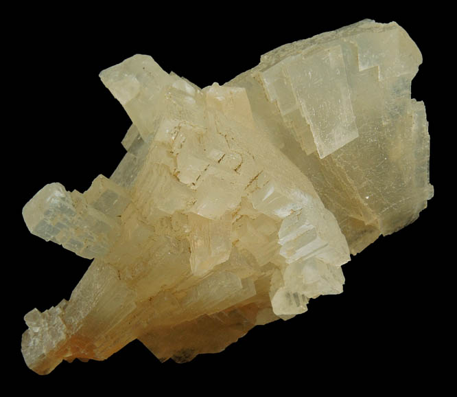 Calcite from Carlile Shale formation (Cretaceous), near La Junta, Otero County, Colorado