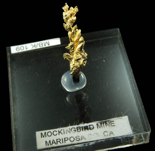 Gold from Mockingbird Mine, Mariposa County, California