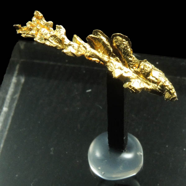 Gold from Mockingbird Mine, Mariposa County, California