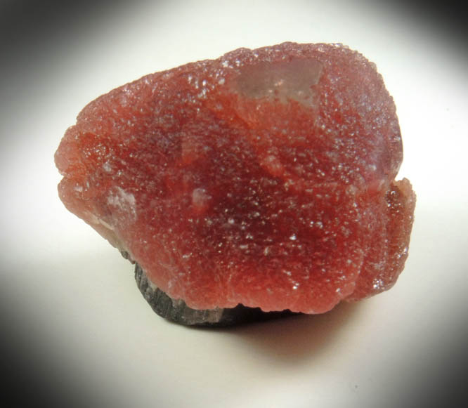 Elbaite var. Rubellite Mushroom Tourmaline from Momeik, northeast of Mogok, Mandalay Division, Myanmar (Burma)