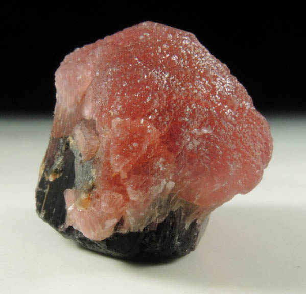 Elbaite var. Rubellite Mushroom Tourmaline from Momeik, northeast of Mogok, Mandalay Division, Myanmar (Burma)