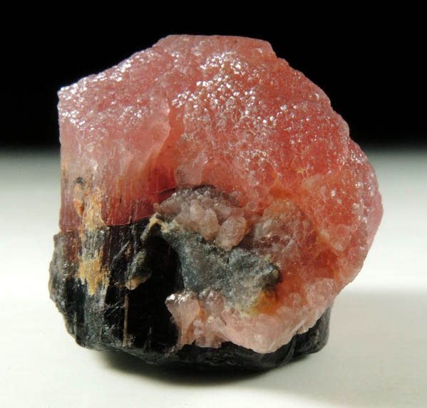 Elbaite var. Rubellite Mushroom Tourmaline from Momeik, northeast of Mogok, Mandalay Division, Myanmar (Burma)