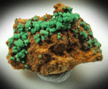 Torbernite from South Terras Mine, South Shaft Dump, St. Stephen-in-Brannel, Cornwall, England